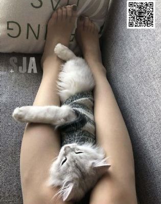 毛片无码大全真人在线_BD国语天堂在线
